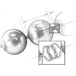 ÉTOILE  エトワール