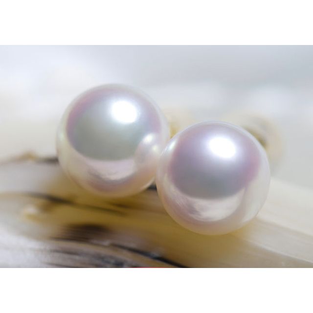 Boucles d'oreilles perles Akoya - 7.5/8mm - AAA - Or blanc