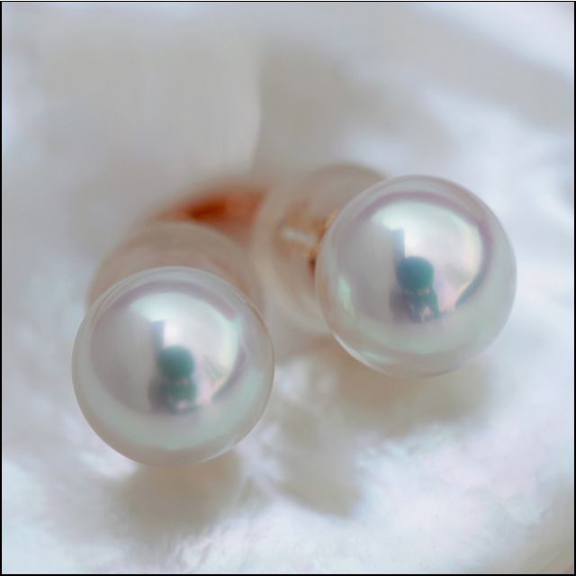 Boucles d'oreilles perles Akoya - 7/7.5mm - GEMME - Or blanc