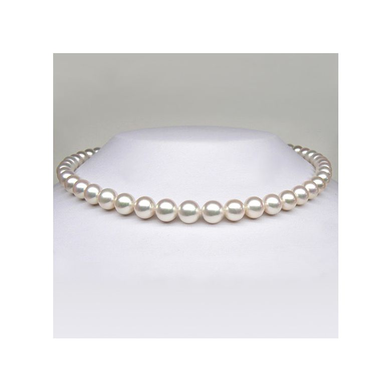Collier perles eau douce blanches Mariage. 8/8.5mm, AAA - 6