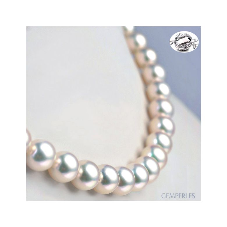 Collier de perles Akoya blanches - 9/9.5mm - AAA / HANADAMA - 1