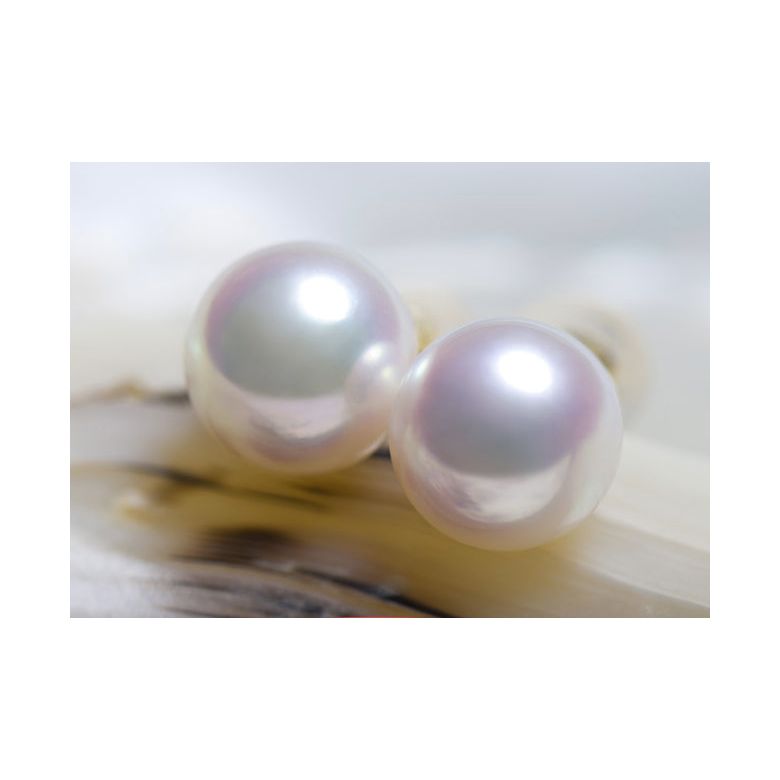 Boucles d'oreilles perles Akoya - 7.5/8mm - AAA - Or blanc - 2